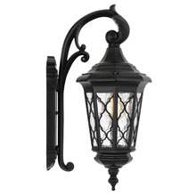 Black Ronan Outdoor Wall Light